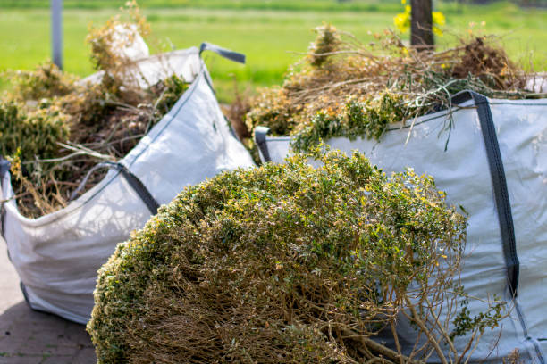 Best Attic Cleanout Services  in La Honda, CA